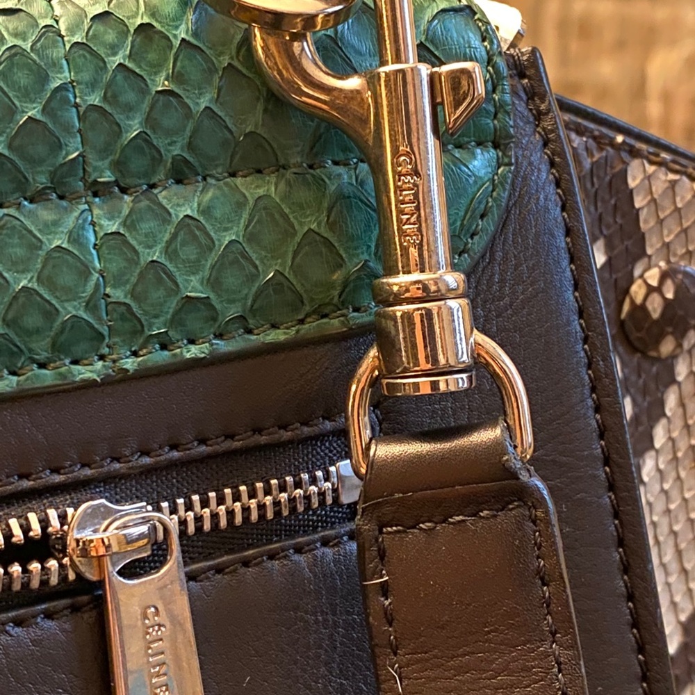 Celine Python Trapeze Bag - Picture 5 of 9